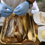 Śniadanie w ogrodzie / Kamil Król / Radio Kielce