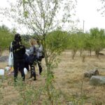 Jędrzejów. Sprzątanie cmentarza żydowskiego / Ewa Pociejowska - Gawęda / Radio Kielce