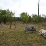 Jędrzejów. Sprzątanie cmentarza żydowskiego / Ewa Pociejowska - Gawęda / Radio Kielce