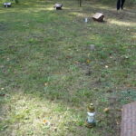 Uroczystości, podczas których upamiętniono żołnierzy Wojska Polskiego i funkcjonariuszy Policji Państwowej, zamordowanych w Katyniu, Charkowie, Twerze i Miednoje / Ewa Pociejowska-Gawęda / Radio Kielce