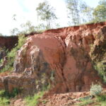 Madagaskar / dr hab. Małgorzata Anna Jóźwiak i prof. dr hab. Marek Jóźwiak