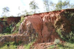 Madagaskar / dr hab. Małgorzata Anna Jóźwiak i prof. dr hab. Marek Jóźwiak