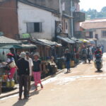 Madagaskar / dr hab. Małgorzata Anna Jóźwiak i prof. dr hab. Marek Jóźwiak