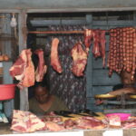 Madagaskar / dr hab. Małgorzata Anna Jóźwiak i prof. dr hab. Marek Jóźwiak