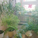 17.09.2018 Kielce. Otwarcie warsztatów terapii zajęciowej przy ulicy Krzemionkowej / Iwona Murawska / Radio Kielce