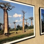 Wystawa fotografii podróżnika i prezentera telewizyjnego Jarosława Kreta pt. "Madagaskar" / Grażyna Szlęzak-Wójcik / Radio Kielce