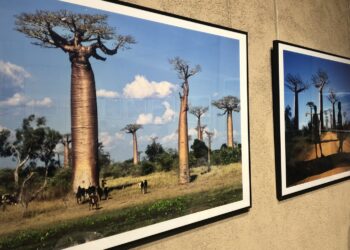 Wystawa fotografii podróżnika i prezentera telewizyjnego Jarosława Kreta pt. "Madagaskar" / Grażyna Szlęzak-Wójcik / Radio Kielce