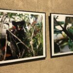 Wystawa fotografii podróżnika i prezentera telewizyjnego Jarosława Kreta pt. "Madagaskar" / Grażyna Szlęzak-Wójcik / Radio Kielce