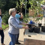 Sandomierz. Akcja „100 tysięcy drzew na 100-lecie niepodległości” / Grażyna Szlęzak - Wójcik / Radio Kielce