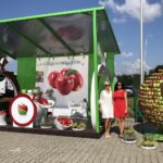 Europejskie Święto Jabłka w Obrazowie / Grażyna Szlęzak-Wójcik / Radio Kielce