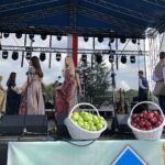 Europejskie Święto Jabłka w Obrazowie / Grażyna Szlęzak-Wójcik / Radio Kielce