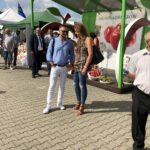 Europejskie Święto Jabłka w Obrazowie / Grażyna Szlęzak-Wójcik / Radio Kielce