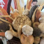 Konkurs kulinarny ph. „Nasze sandomierskie - kulinaria regionalne” / Grażyna Szlęzak-Wójcik / Radio Kielce