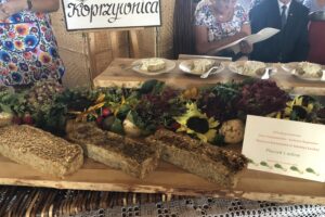 Konkurs kulinarny ph. „Nasze sandomierskie - kulinaria regionalne” / Grażyna Szlęzak-Wójcik / Radio Kielce