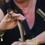 Madagaskar / dr hab. Małgorzata Anna Jóźwiak i prof. dr hab. Marek Jóźwiak