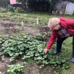 Sandomierz. Dzień Działkowca / Grażyna Szlęzak - Wójcik / Radio Kielce