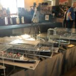 Sandomierz. Mistrzostwa Polski Modeli Pływających / Grażyna Szlęzak - Wójcik / Radio Kielce