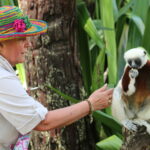 Lemury Madagaskaru / dr hab. Małgorzata Anna Jóźwiak i prof. dr hab. Marek Jóźwiak