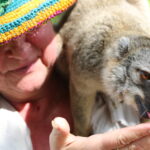 Lemury Madagaskaru / dr hab. Małgorzata Anna Jóźwiak i prof. dr hab. Marek Jóźwiak