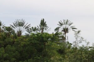 Madagaskar / dr hab. Małgorzata Anna Jóźwiak i prof. dr hab. Marek Jóźwiak