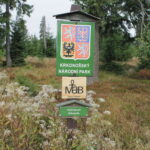 Muzyczne podróże. Czechy / Jakub Juszyński / Radio Kielce