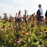 01.09.2018 Kielce. Delegacje z miast partnerskich Kielc zwiedzają ogród botaniczny / Jarosław Kubalski / Radio Kielce