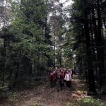 05.09.2018 Michniów. Leśna Droga Krzyżowa / Jarosław Kubalski / Radio Kielce