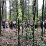 05.09.2018 Michniów. Leśna Droga Krzyżowa / Jarosław Kubalski / Radio Kielce