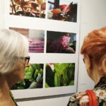 21.09.2018 Kielce. BWA Wernisaż wystawy „Mali odkrywcy – wielkie możliwości” podsumowujące warsztaty dla dzieci i młodzieży / Jarosław Kubalski / Radio Kielce