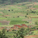 Madagaskar / dr hab. Małgorzata Anna Jóźwiak i prof. dr hab. Marek Jóźwiak