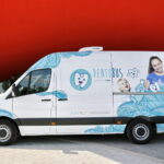 Wręczenie Dentobusa przed Świętokrzyskim Urzędem Wojewódzkim / Marzena Mąkosa / Radio Kielce