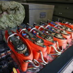 Pokazy dynamiczne w CPdMZ na Bukówce / Marzena Mąkosa / Radio Kielce