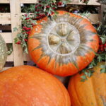 Dożynki gminne w Łopusznie / Marzena Mąkosa / Radio Kielce