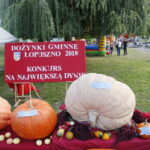 Dożynki gminne w Łopusznie / Marzena Mąkosa / Radio Kielce