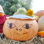 Dożynki gminne w Łopusznie / Marzena Mąkosa / Radio Kielce