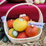 Dożynki gminne w Łopusznie / Marzena Mąkosa / Radio Kielce