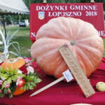 Dożynki gminne w Łopusznie / Marzena Mąkosa / Radio Kielce