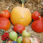 Dożynki gminne w Łopusznie / Marzena Mąkosa / Radio Kielce