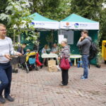 100 tysięcy drzew na 100-lecie odzyskania niepodległości Polski / Marzena Mąkosa / Radio Kielce