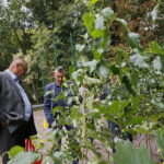 100 tysięcy drzew na 100-lecie odzyskania niepodległości Polski / Marzena Mąkosa / Radio Kielce