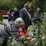 100 tysięcy drzew na 100-lecie odzyskania niepodległości Polski / Marzena Mąkosa / Radio Kielce