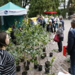 100 tysięcy drzew na 100-lecie odzyskania niepodległości Polski / Marzena Mąkosa / Radio Kielce