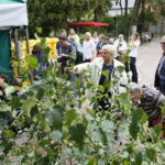 100 tysięcy drzew na 100-lecie odzyskania niepodległości Polski / Marzena Mąkosa / Radio Kielce