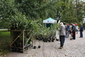 100 tysięcy drzew na 100-lecie odzyskania niepodległości Polski / Marzena Mąkosa / Radio Kielce