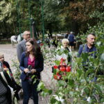 100 tysięcy drzew na 100-lecie odzyskania niepodległości Polski / Marzena Mąkosa / Radio Kielce