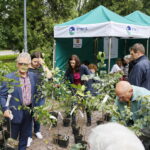 100 tysięcy drzew na 100-lecie odzyskania niepodległości Polski / Marzena Mąkosa / Radio Kielce