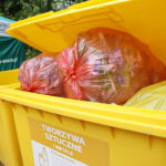 100 tysięcy drzew na 100-lecie odzyskania niepodległości Polski / Marzena Mąkosa / Radio Kielce