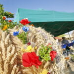 Święto chleba w Tokarni / Marzena Mąkosa / Radio Kielce