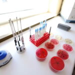 Laboratorium mikrobiologiczne w Świętokrzyskim Centrum Matki i Noworodka na ul. Prostej / Marzena Mąkosa / Radio Kielce