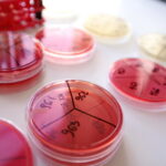 Laboratorium mikrobiologiczne w Świętokrzyskim Centrum Matki i Noworodka na ul. Prostej / Marzena Mąkosa / Radio Kielce